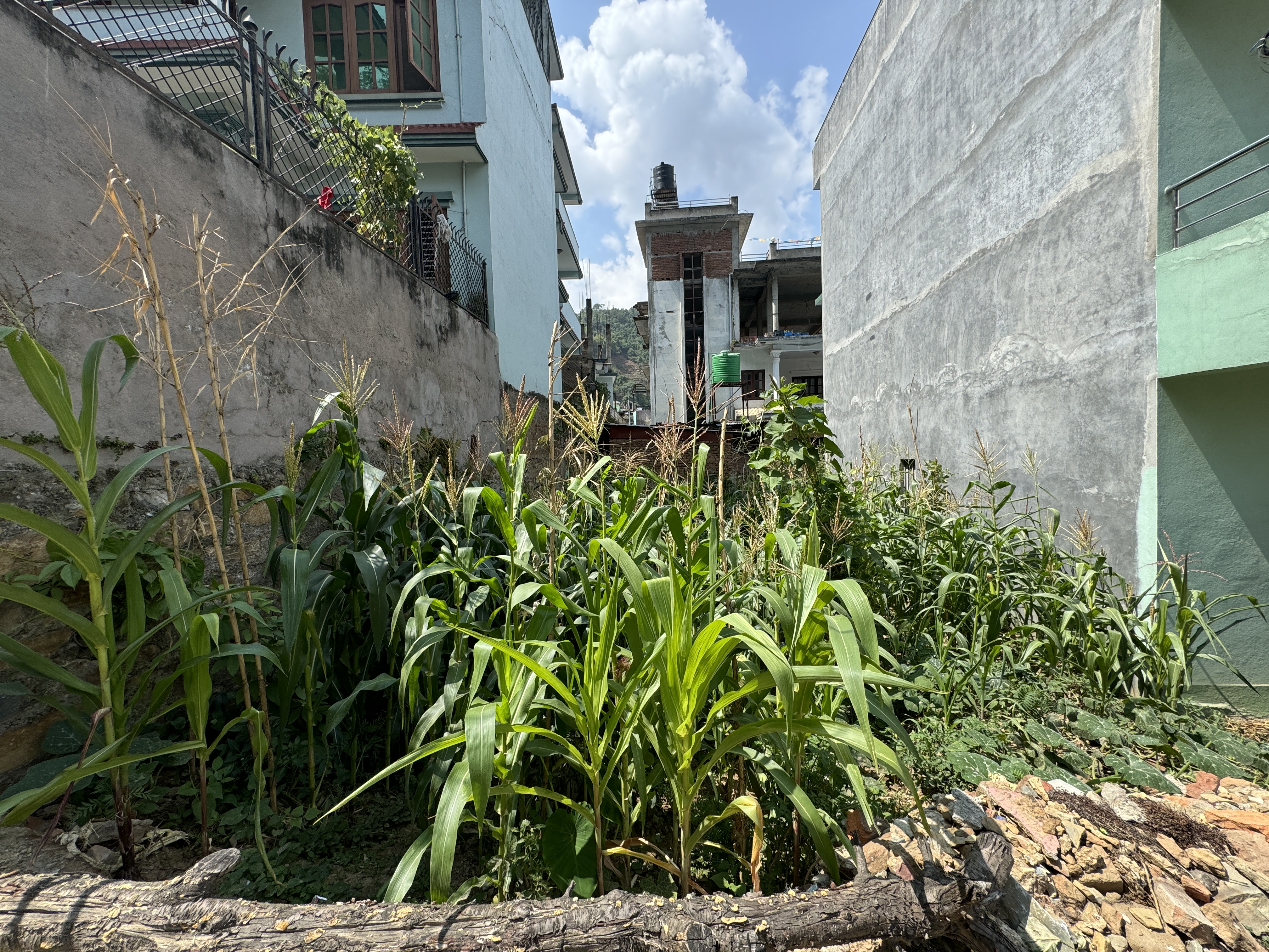 Picture of Nagarjun Municipality, Bagmati
